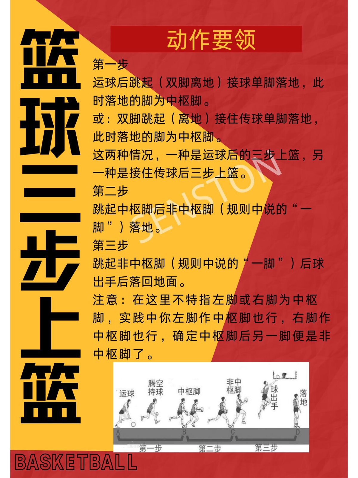 篮球训练基本动作视频教程全集下载